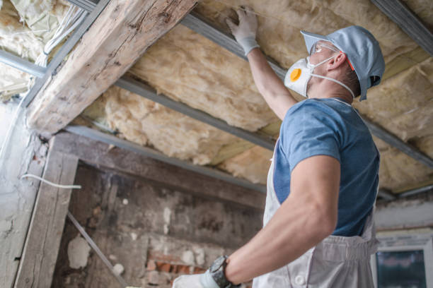 Best Types of Insulation in Verona, WI