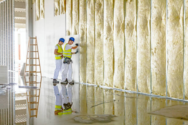 Best Residential Insulation in Verona, WI